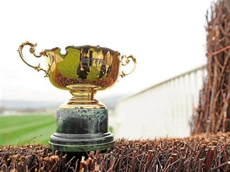 cheltenham gold cup day results.